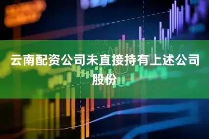 云南配资公司未直接持有上述公司股份