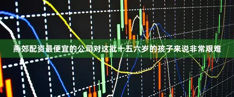 燕郊配资最便宜的公司对这批十五六岁的孩子来说非常艰难