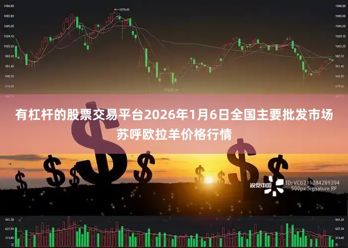 有杠杆的股票交易平台2026年1月6日全国主要批发市场苏呼欧拉羊价格行情